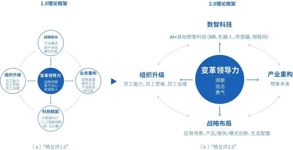 杨五环模型